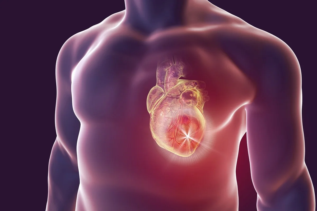 Reasons for heart diseases